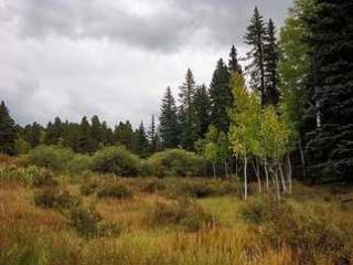 173 Chalk Circle Trl, Twin Rock, CO 80816-7023