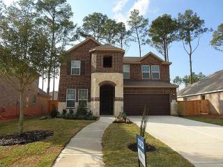 22207 Weller Oaks Dr, Spring TX  77389-1460 exterior