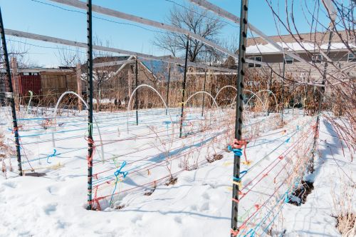 1080 Grandview Dr, Providence UT 84332-9317 exterior