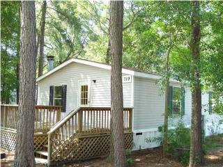 719 Arno Dr, Ladson SC  29456-3352 exterior