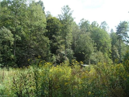 4433 Hatteras Trl, Cycle, NC 27020-7438