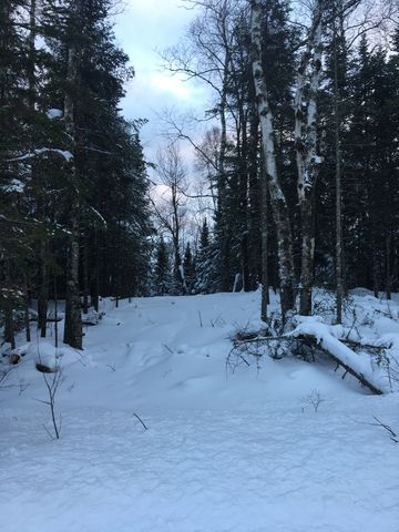 3 Kangas Rd, Esko, MN 55733