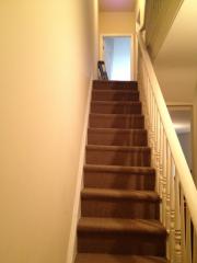 1514 Montgomery Ave, Philadelphia PA  19125-2708 exterior