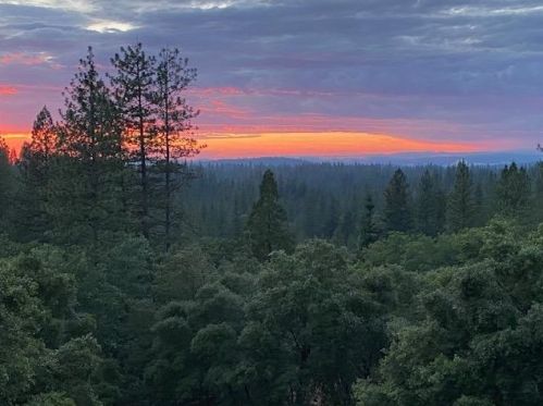 15153 Abbey Ct, Cherokee, CA 95959-9439