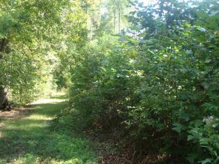 215 Emory Ln, Tamassee, SC 29686-2109