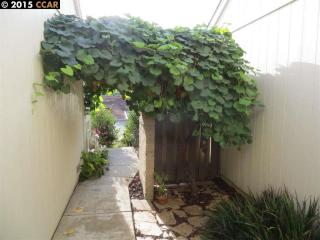 6445 Parklane Plz, Pacheco, CA 94553-6116