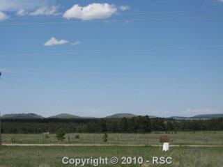 16935 Old Borough, Woodmoor, CO 80132-8390
