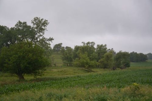 48286 306th St, Big Springs, SD 57001