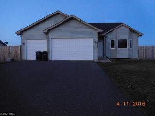 30739 Redding Ave, Shafer, MN 55074-2321