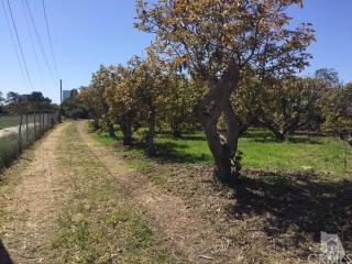 318 Collins St, Oxnard, CA 93036-1601