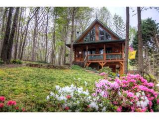 6893 Lakeside Pl, Gainesville GA  30506-6438 exterior