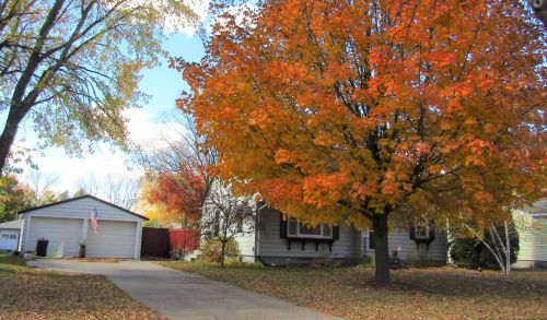 509 18th St, Benson, MN 56215-1141