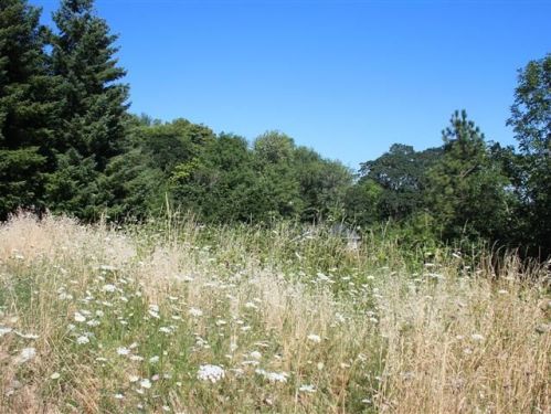 437 Topaz St, Philomath OR  97370-4105 exterior