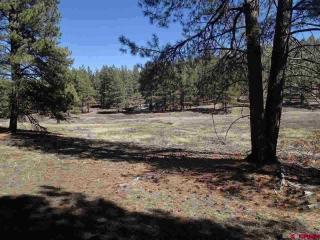 699 Beaver Creek Dr, Vallecito, CO 81122-9660