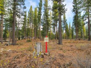 8136 Villandry Dr, Truckee, CA 96161-4329