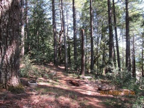 4245 Blackhawk Dr, Willits, CA 95490-8776