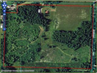 19860 Green Mountain Rd, Colton, OR 97017-9415