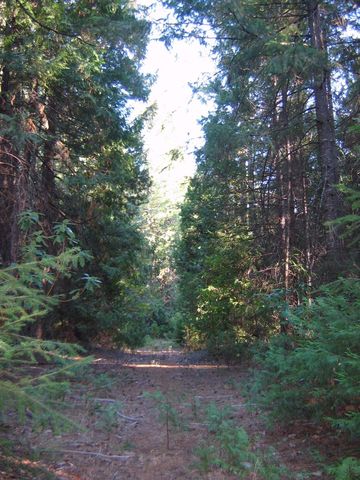 1840 Rubicon Rd, Virner, CA 95634-9727