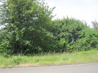 474 Mountaingate Dr, Springfield, OR 97478-7734