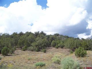 10193 Road 35, Mancos, CO 81328-7718