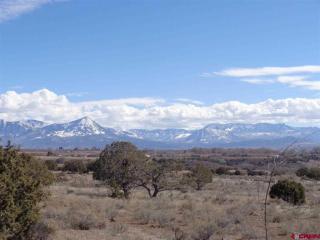 28954 Stingley Gulch Rd, Hotchkiss, CO 81419-6703