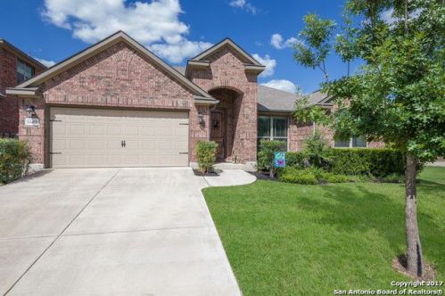 11403 Massive Mt, Grey Forest, TX 78023-3523