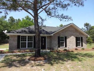 118 Nelson St, Reidsville, GA 30453-4237