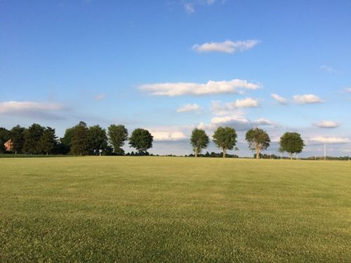 7298 Remlinger Rd, Crestline OH  44827-9775 exterior