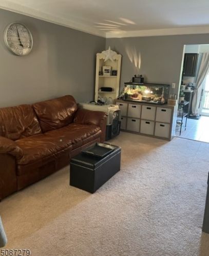 311 Larch Ct, Flemington, NJ 08822-3134