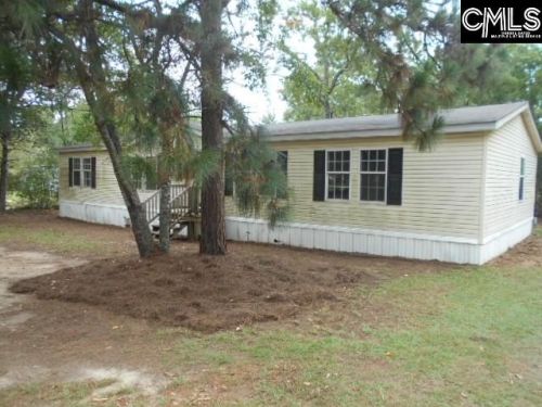 303 Sandra Dr, Pelion, SC 29123-9485