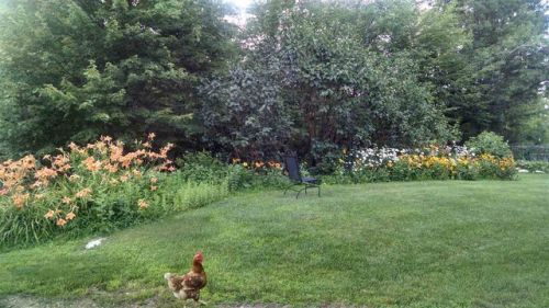 79 Griffin Rd, Deerfield, NH 03037-1311