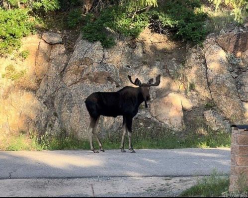 6343 Starlight Dr, Morrison CO  80465-2708 exterior