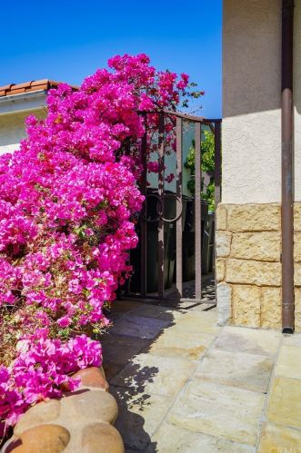 3911 Mesa St, Torrance, CA 90505-6307