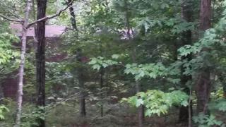 439 Skyview Cir, Clarkesville, GA 30523-3666