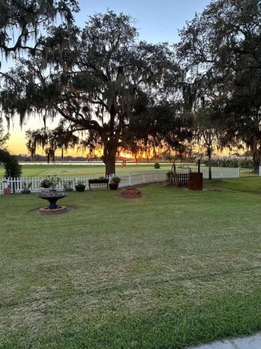 638 Wagon Wheel Trl, Angleton TX 77515-2733 exterior