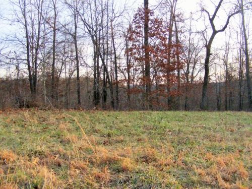 9 Misty Mountain Rd, Bruner, MO 65620