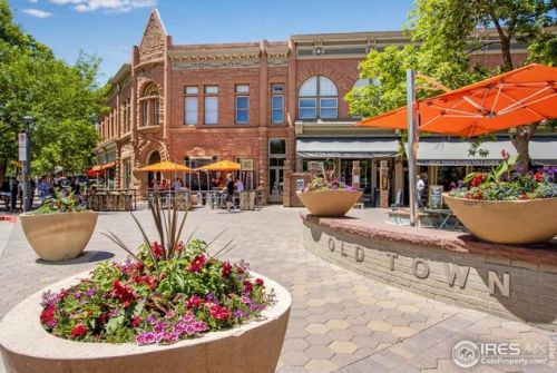 408 Wood St, Fort Collins CO  80521-1951 exterior