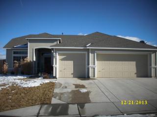 3350 Grove Springs Dr, Sparks, NV 89436-5684
