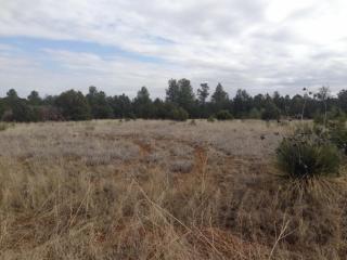 15 Camino Largo Rd, Sedillo, NM 87059-7976
