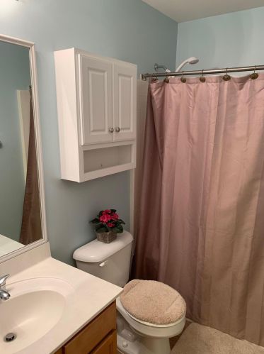 288 Sweet Alyssum Dr, Ladson SC  29456-3899 exterior