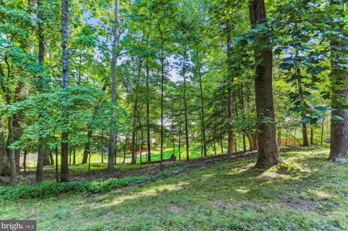 11924 Viewcrest Ter, Silver Spring MD 20902-1553 exterior