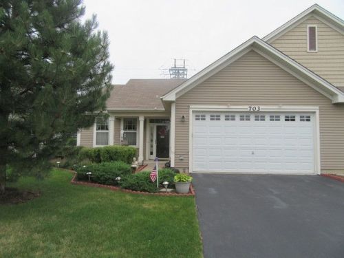 703 Bellevue Cir, Oswego, IL 60543-6046