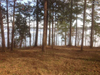 119 Smooth Rock Pt, Smallwood, SC 29130-7101