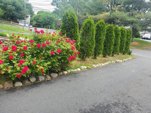 39 Nash Pl, Norwalk CT  06854-1404 exterior