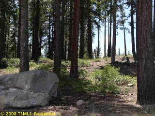 10771 Passage Pl, Truckee, CA 96161-3903