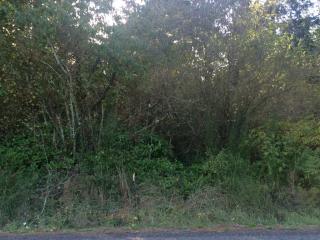 30814 8th Ave, Roy, WA 98580-9399