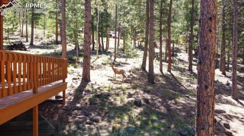 1241 Frst Edge Rd, Woodland Park CO 80863-2406 exterior