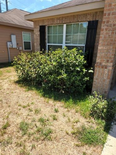 2005 Lost Pine Ct, Conroe, TX 77304-3803