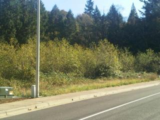 2940 Regner Rd, Damascus OR  97080 exterior