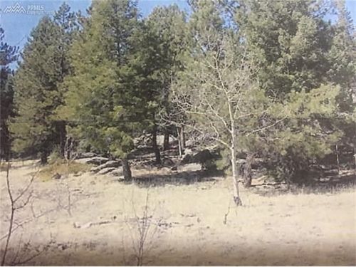 81 Horseshoe Trl, Twin Rock, CO 80816-9574